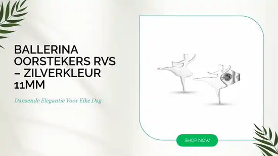 Ballerina Oorstekers RVS &ndash; Zilverkleur 11mm by@Outfy