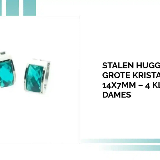 Stalen Huggie Oorringen Grote Kristallen Steen 14x7mm &ndash; 4 Kleuren Dames by@Outfy
