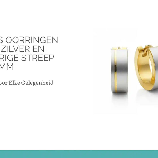 Bicolor RVS Oorringen met Mat Zilver en Goudkleurige Streep 13mm by@Outfy
