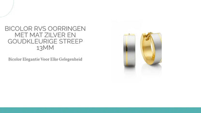 Bicolor RVS Oorringen met Mat Zilver en Goudkleurige Streep 13mm by@Outfy