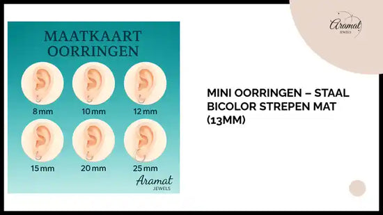 mini Oorringen &ndash; Staal Bicolor Strepen Mat (13mm) by@Outfy