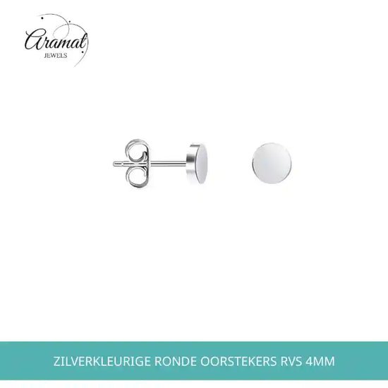 Zilverkleurige Ronde Oorstekers RVS 4mm by@Outfy