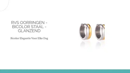 RVS oorringen - Bicolor Staal - Glanzend by@Outfy
