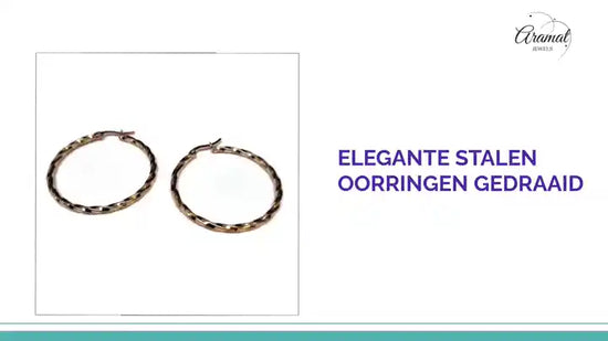 Elegante Stalen Oorringen gedraaid by@Outfy