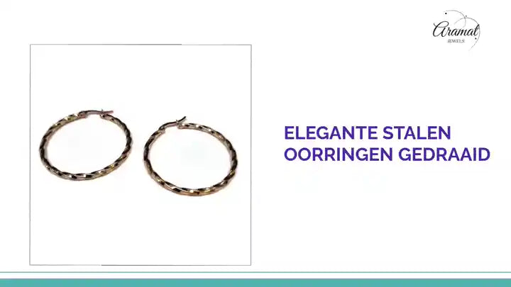 Elegante Stalen Oorringen gedraaid by@Outfy