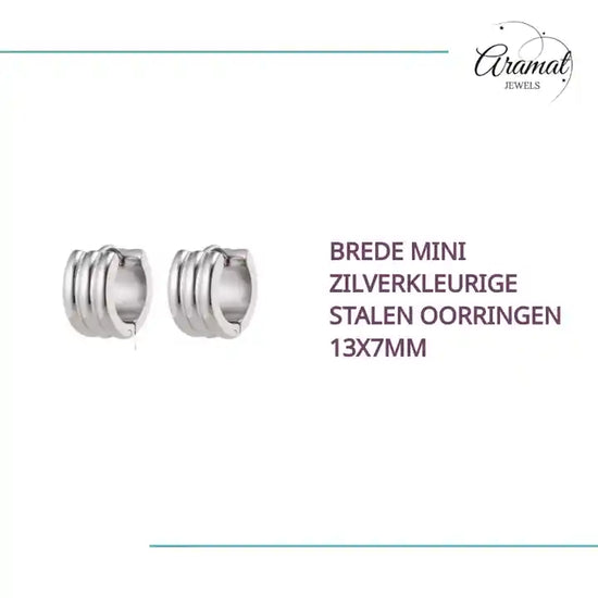 Brede mini Zilverkleurige Stalen Oorringen 13x7mm by@Outfy