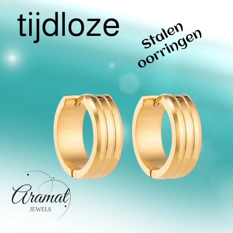 Stainless Steel Earrings with Double Stripes gold color