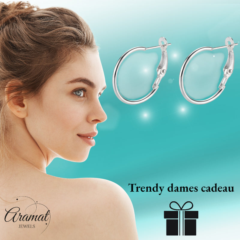 Metal Earrings Silver Colored 20mm Folding Hinge