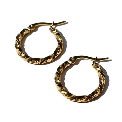 Gold-colored stainless steel earrings
