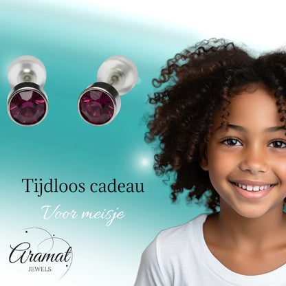 Boucles d'oreilles – Acier Cristal Violet Argent (5 mm) 