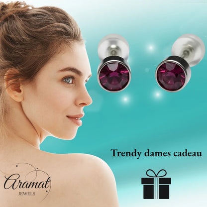 Boucles d'oreilles – Acier Cristal Violet Argent (5 mm) 