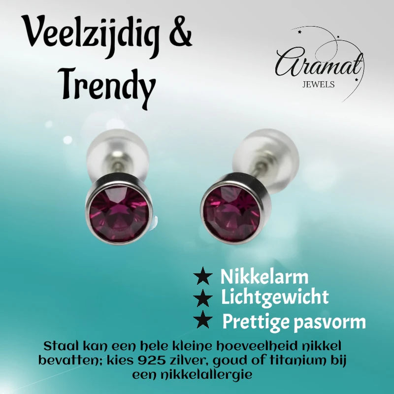 Boucles d'oreilles – Acier Cristal Violet Argent (5 mm) 