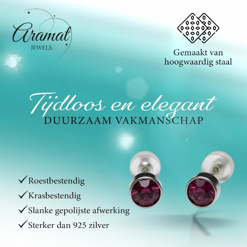 Boucles d'oreilles – Acier Cristal Violet Argent (5 mm) 