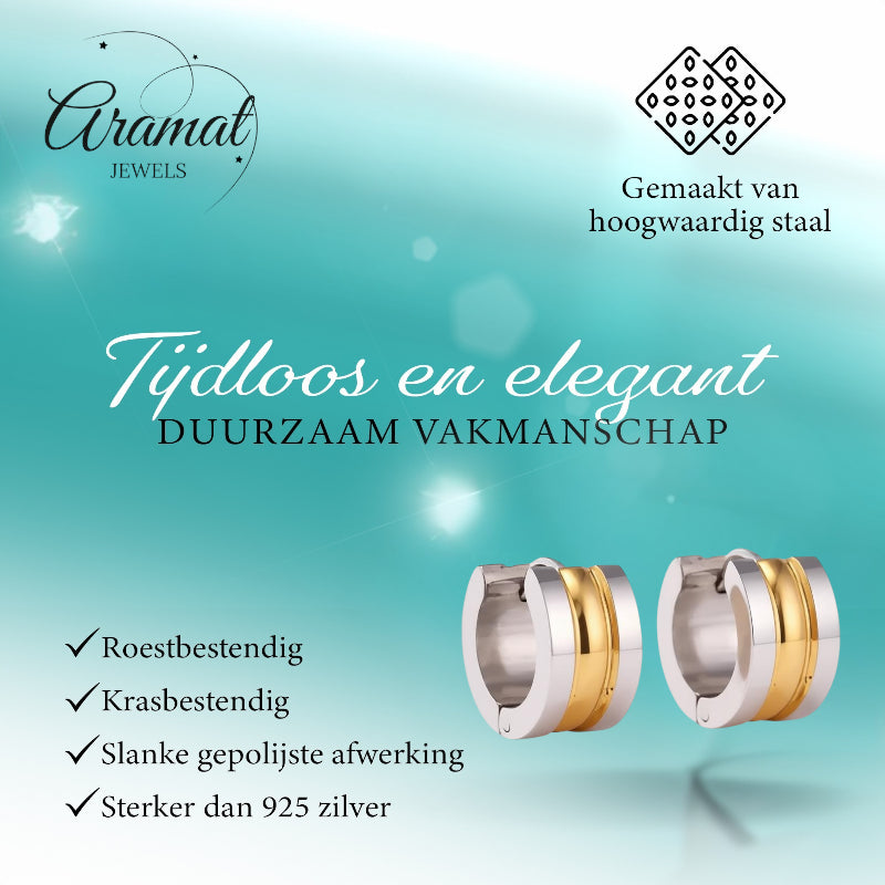 Bicolor Steel Earrings with Two Semicircular Stripes