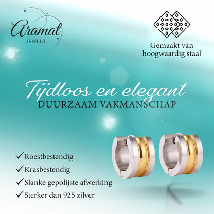 Bicolor Steel Earrings with Two Semicircular Stripes