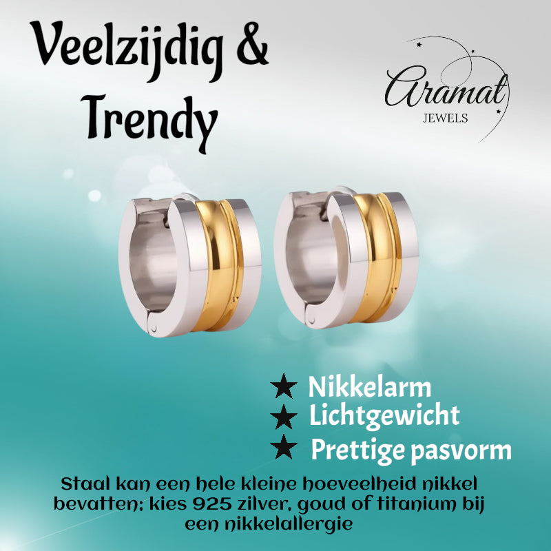 Bicolor Steel Earrings with Two Semicircular Stripes