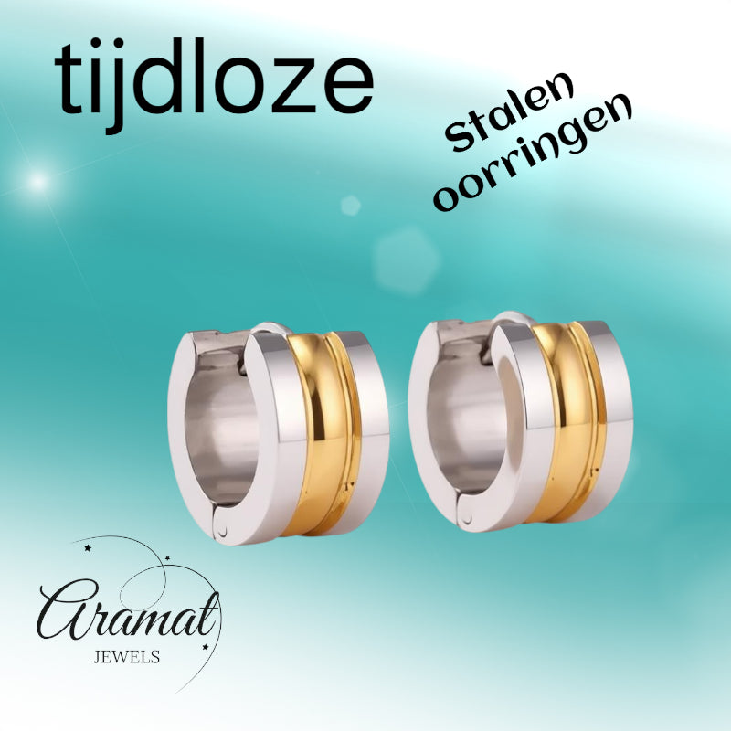 Bicolor Steel Earrings with Two Semicircular Stripes