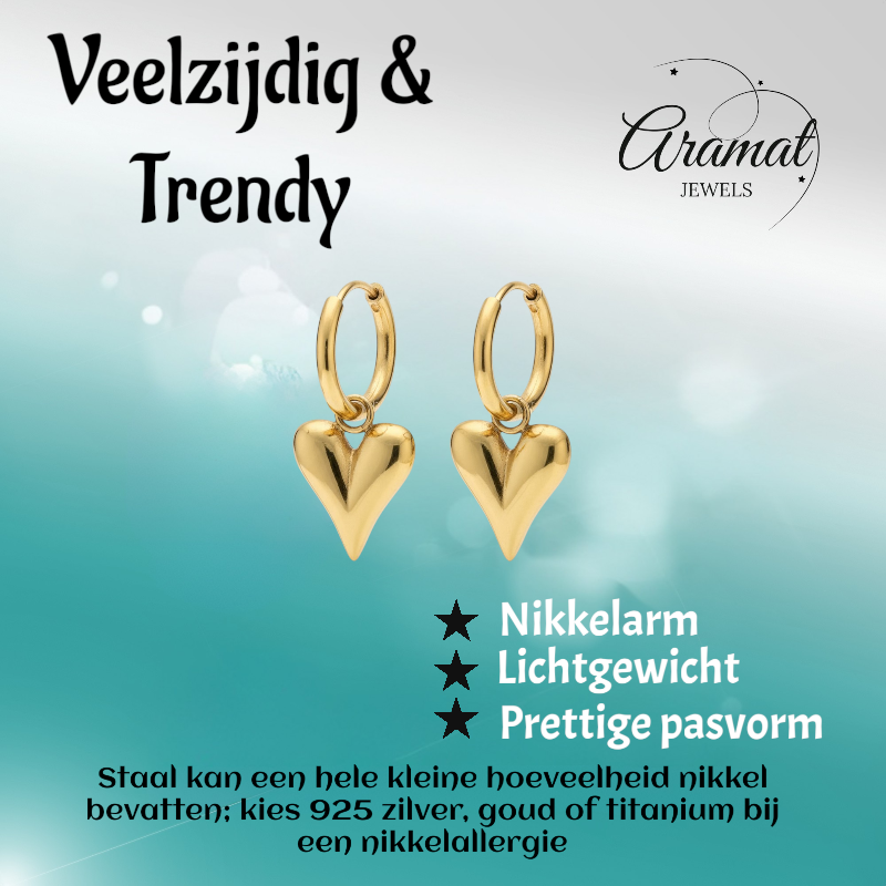 Steel Earrings with Heart Charm Gold Color