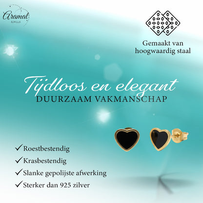 Heart Earrings in Stainless Steel with Enamel