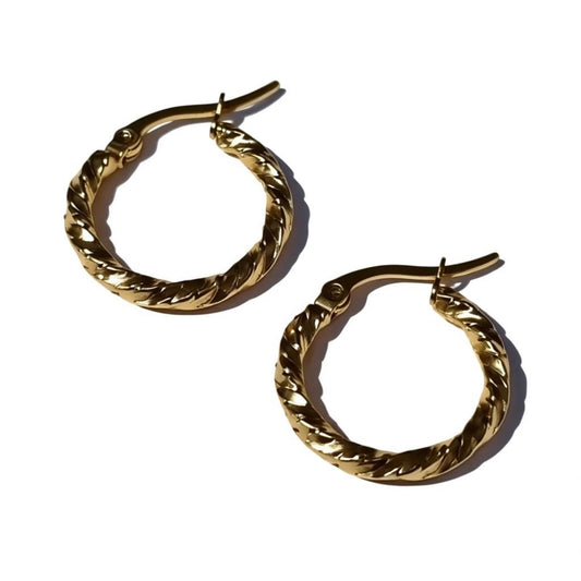 Gold-colored stainless steel earrings