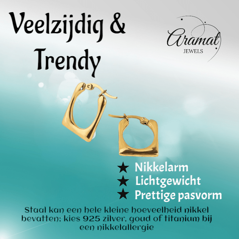 Rechthoekige Oorringen 23x16mm – Goudkleurig RVS – Gladde Finish - oor6348 - 514393 - Oorringen kopen# - 23mm - alles - bolletjes