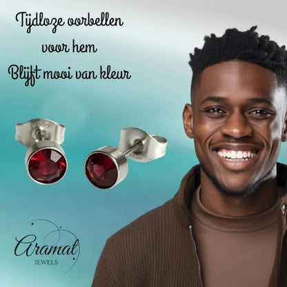 Boucles d'oreilles puces – Acier cristal rouge argenté (5 mm) 