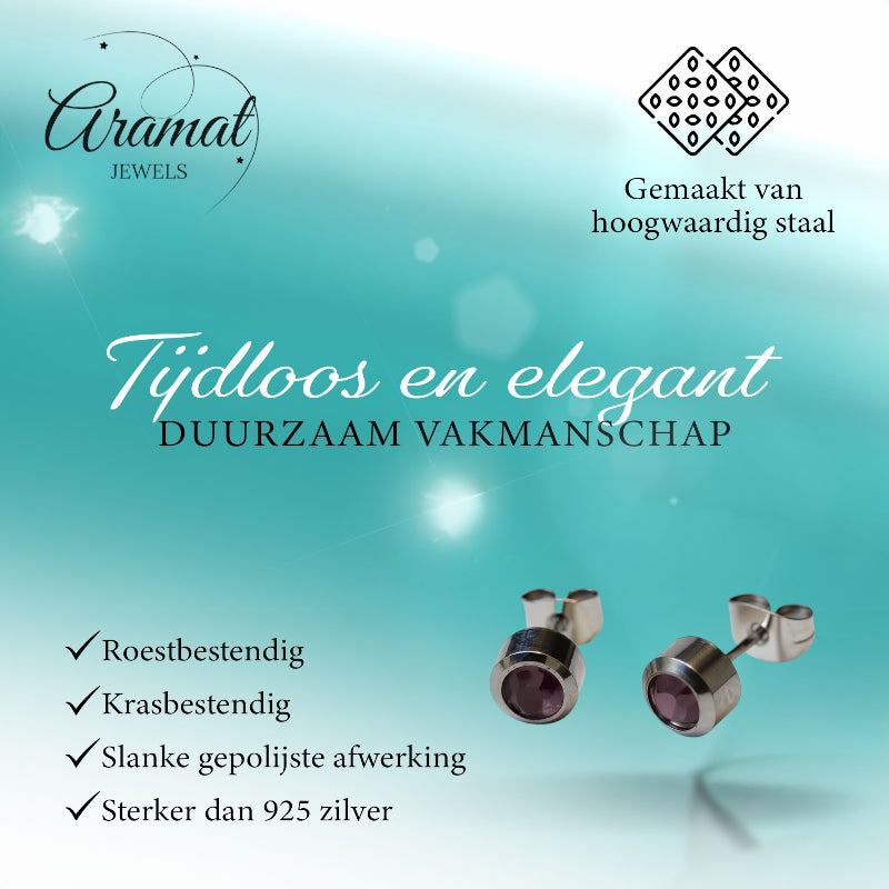 Earrings – Steel Light Purple Crystal (6mm)