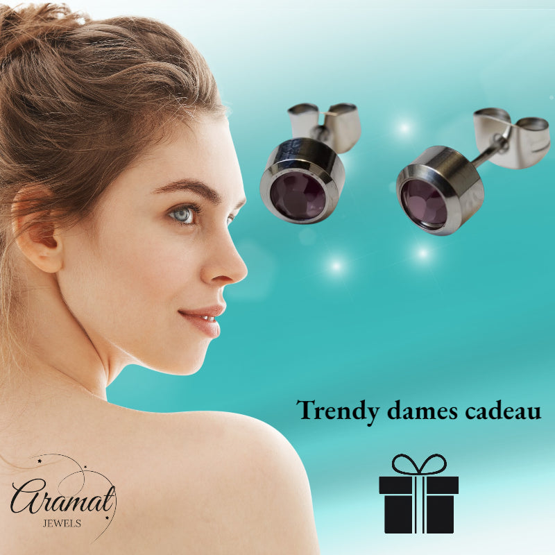 Earrings – Steel Light Purple Crystal (6mm)