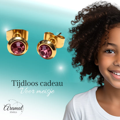 Stud Earrings – Stainless Steel Gold Colored with Pink Crystal (6mm) 