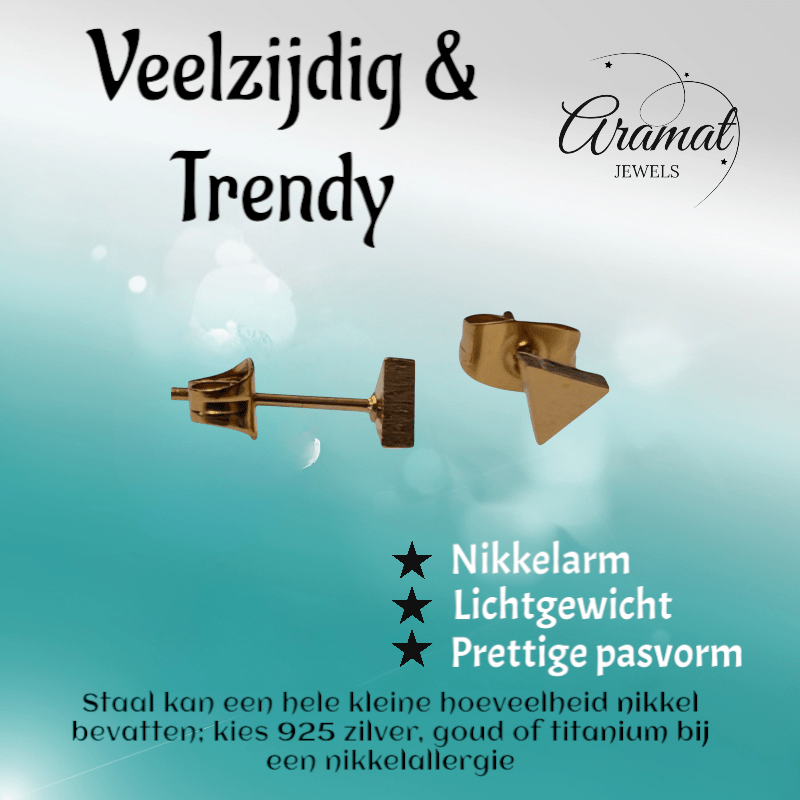 RVS Driehoek Oorbellen Goudkleur 5mm - Geometrische Oorstekers - Aramat Jewels - Oorbellen - cadeautip