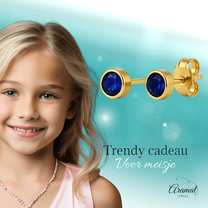 RVS Oorbellen met Donkerblauwe Zirkonia - 5mm - oor2065 - XE58221 - Oorbellen kopen# - 5mm - alles - blauw