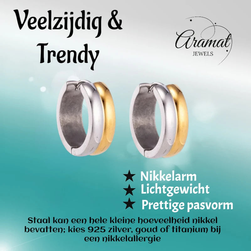 Boucles d'oreilles en acier inoxydable - Acier bicolore - Brillant 