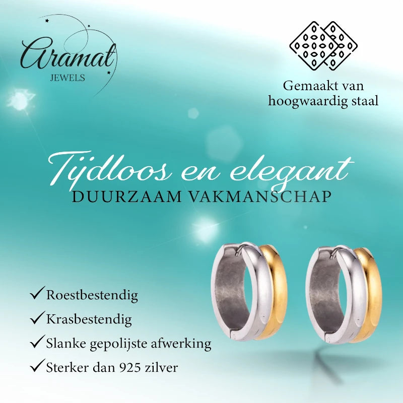 Boucles d'oreilles en acier inoxydable - Acier bicolore - Brillant 