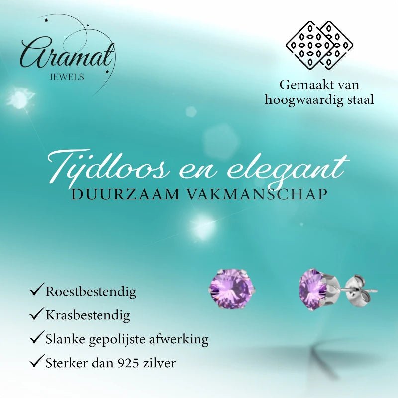 RVS Paarse Zirkonia Oorbellen - Aramat Jewels - Oorbellen - cadeautip