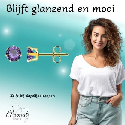 RVS Paarse Zirkonia Oorbellen - Aramat Jewels - Oorbellen - cadeautip