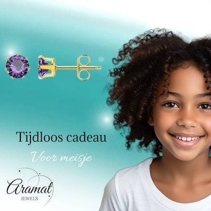 RVS Paarse Zirkonia Oorbellen - Aramat Jewels - Oorbellen - cadeautip