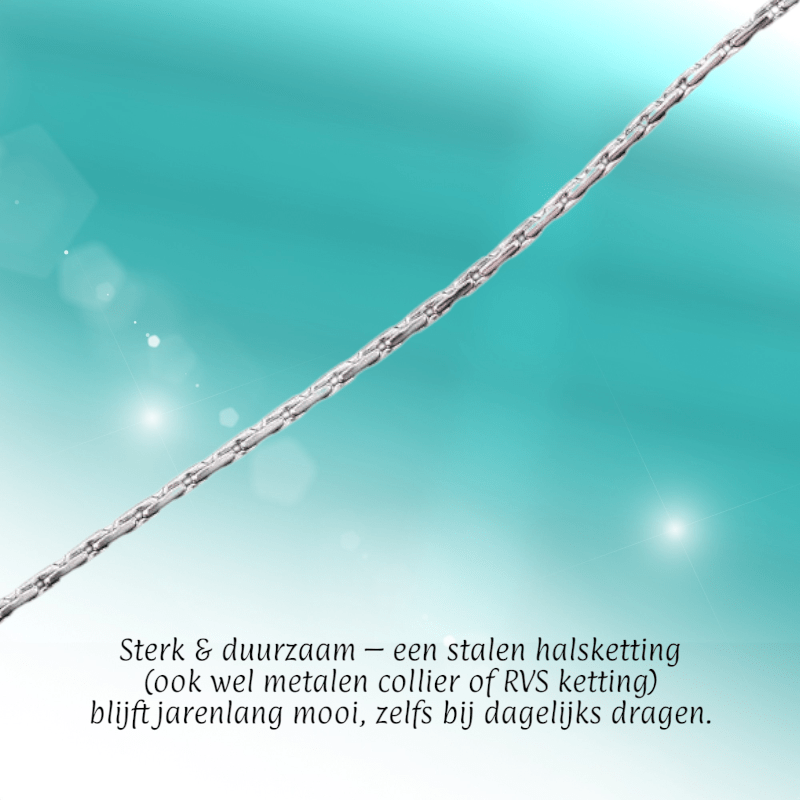 RVS Zilverkleurige Slangenketting unisex - Aramat Jewels - Halskettingen - cadeautip