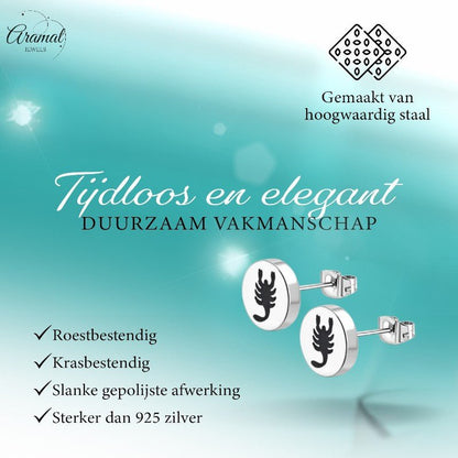 Schorpioen Oorbellen Zilverkleurig RVS – 8mm – Dieren oorstekers - oor2842 - tte653 - Oorbellen kopen# - 8mm - alles - cadeau