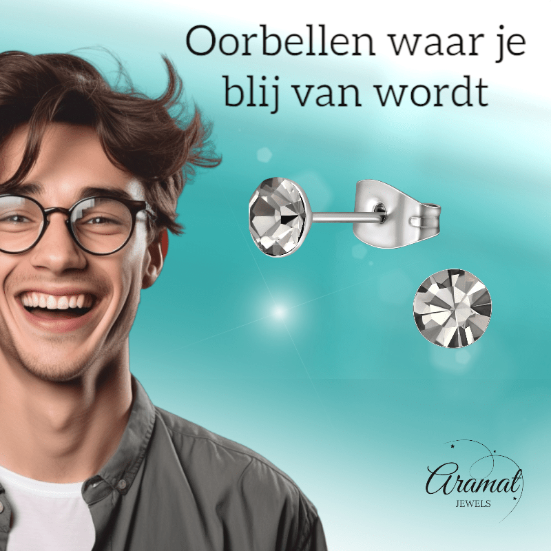 Stalen Kristal Oorbellen met Black Diamond steentje – Zilverkleur – 5mm - Aramat Jewels - Oorbellen - cadeautip