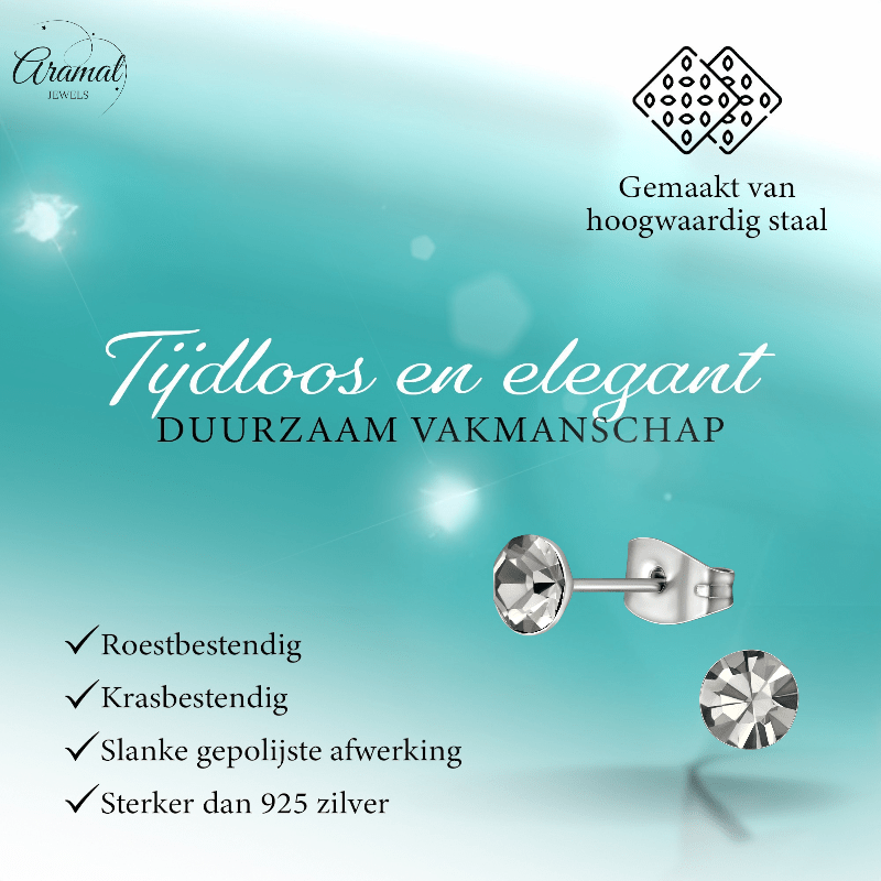 Stalen Kristal Oorbellen met Black Diamond steentje – Zilverkleur – 5mm - Aramat Jewels - Oorbellen - cadeautip