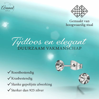 Stalen Kristal Oorbellen met Black Diamond steentje – Zilverkleur – 5mm - Aramat Jewels - Oorbellen - cadeautip