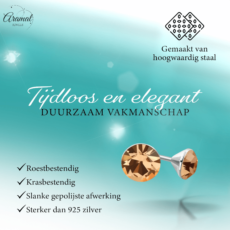 Stalen Kristal Oorbellen met champagnekleurig steentje – Zilverkleur – 4mm - Aramat Jewels - Oorbellen - cadeautip
