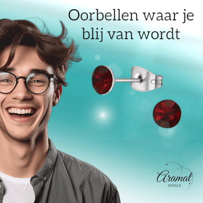 Stalen Kristal Oorbellen met donkerrood steentje – Zilverkleur – 5mm - Aramat Jewels - Oorbellen - cadeautip