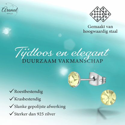 Stalen Kristal Oorbellen met jonquil steentje – Zilverkleur – 5mm - Aramat Jewels - Oorbellen - cadeautip