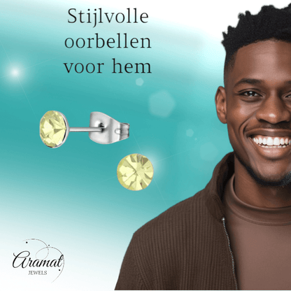 Stalen Kristal Oorbellen met jonquil steentje – Zilverkleur – 5mm - Aramat Jewels - Oorbellen - cadeautip