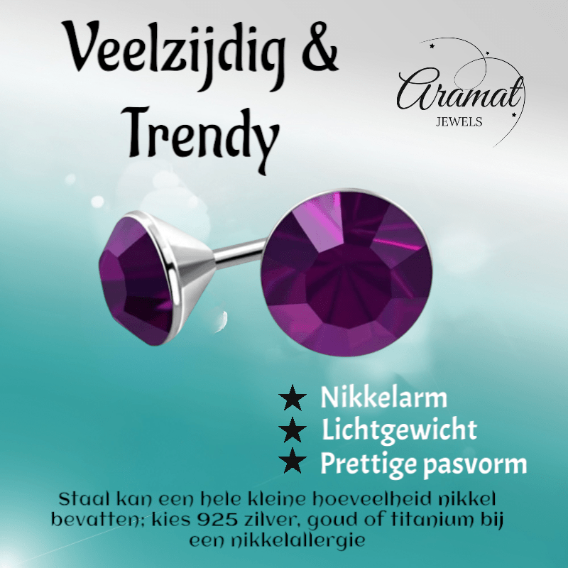 Stalen Kristal Oorbellen met paars steentje – Zilverkleur – 3mm - Aramat Jewels - Oorbellen - cadeautip