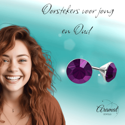Stalen Kristal Oorbellen met paars steentje – Zilverkleur – 3mm - Aramat Jewels - Oorbellen - cadeautip