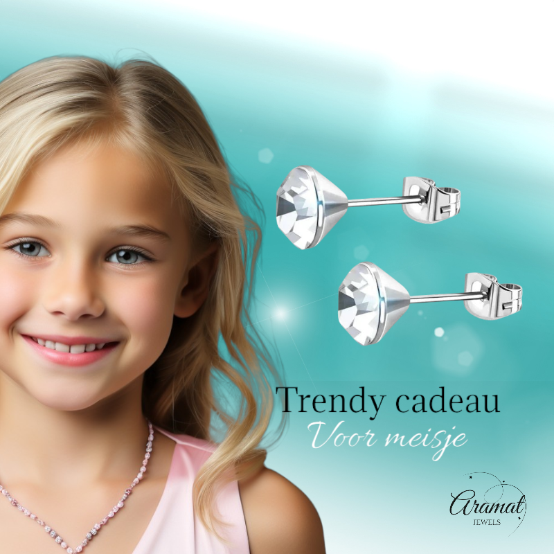 Steel Crystal Earrings with transparent stone – Silver color – 3mm