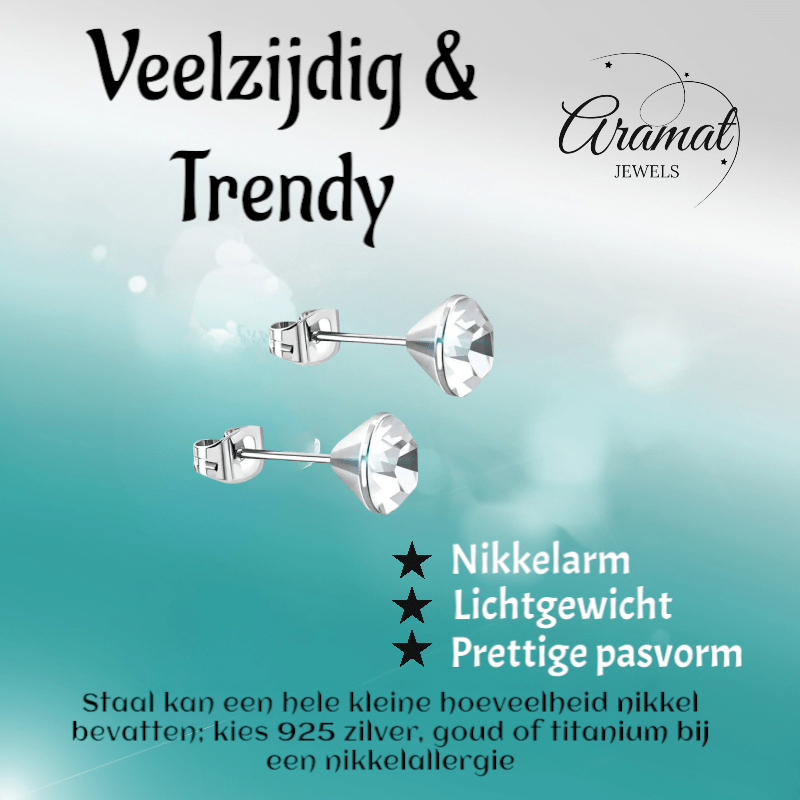 Stalen Kristal Oorbellen met transparant steentje – Zilverkleur – 3mm - Aramat Jewels - Oorbellen - cadeautip