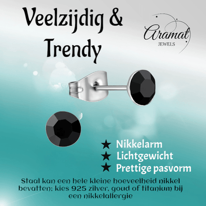 Stalen Kristal Oorbellen met zwart steentje – Zilverkleur – 5mm - Aramat Jewels - Oorbellen - cadeautip